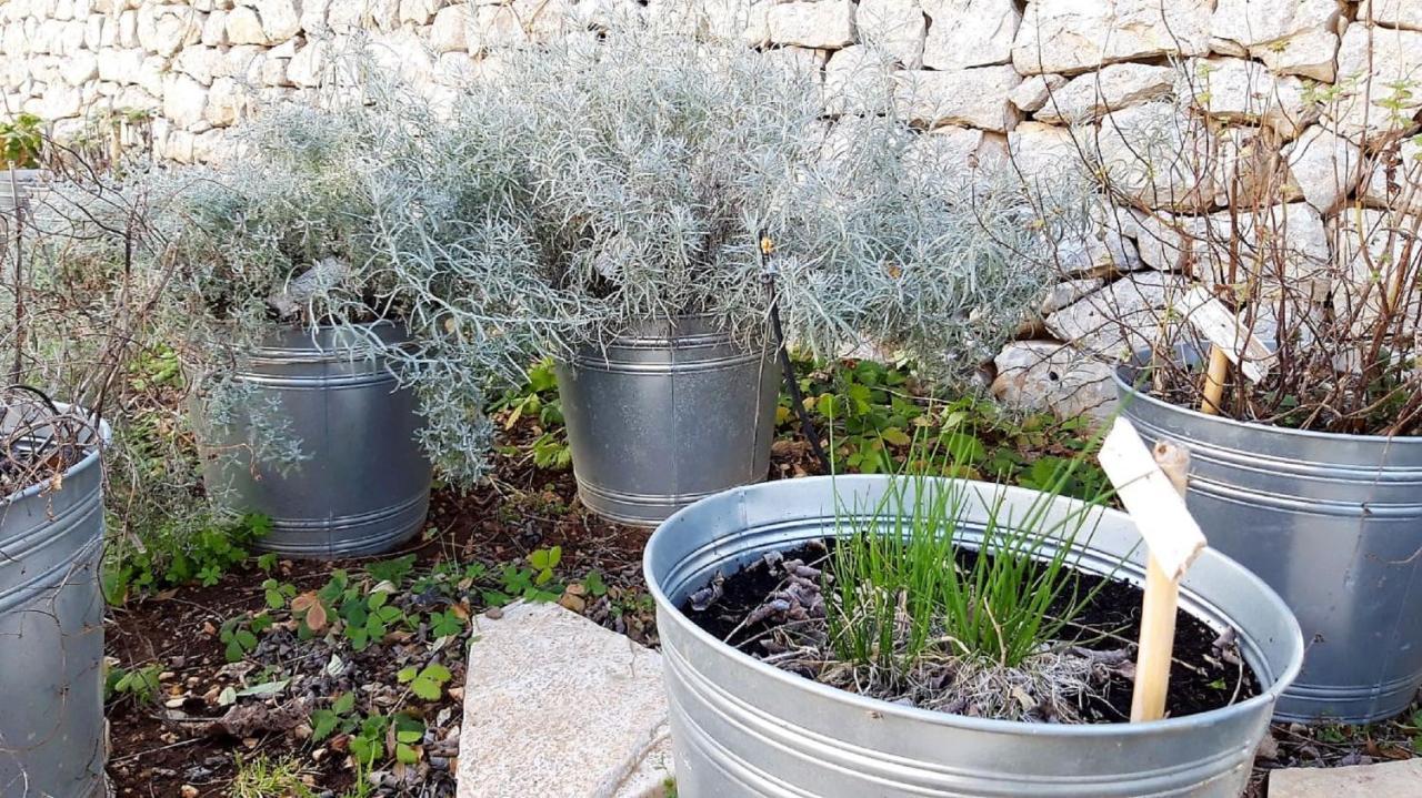 فيلا Casina Dei Preti كونفيرسانو المظهر الخارجي الصورة